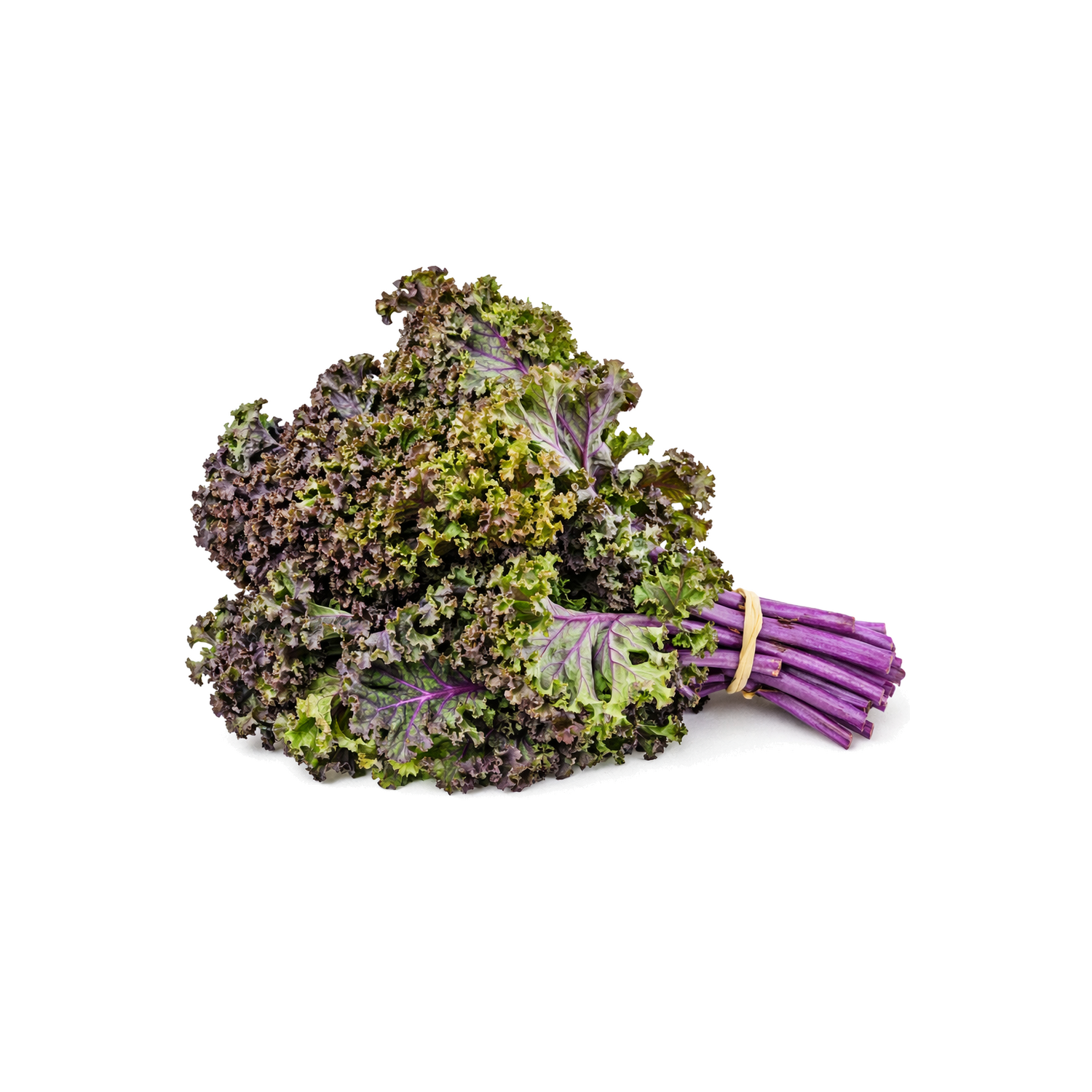  Organic Red Kale - 1 Each