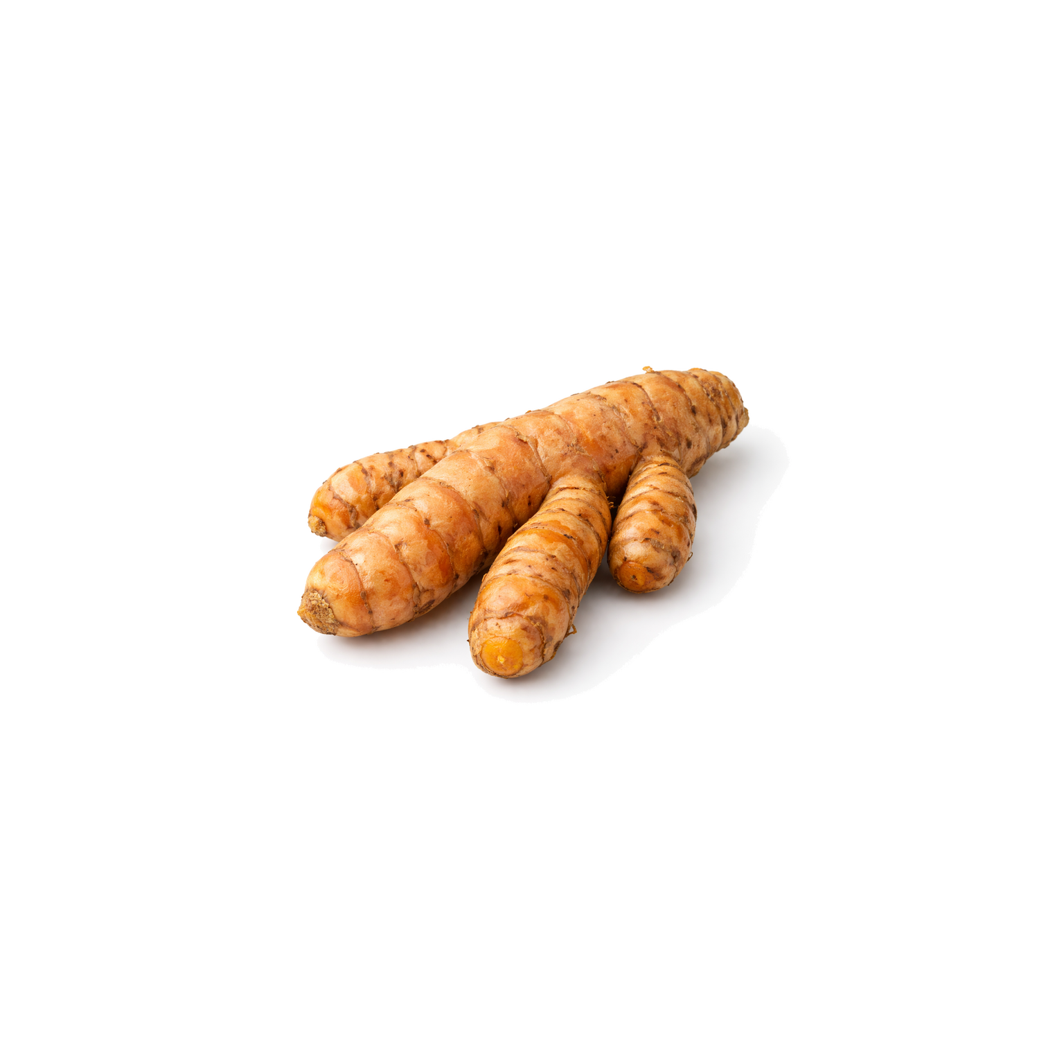  Organic Turmeric Root - 1 Each