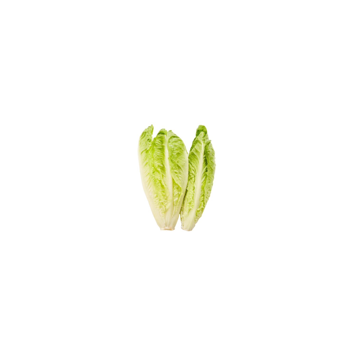Romaine Hearts - 3 Count