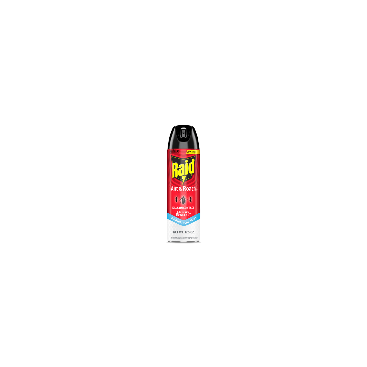 Raid Ant And Roach Killer Insecticide Aerosol Spray, Outdoor Fresh Scent - 17.5 Ounce Image 1 of 2