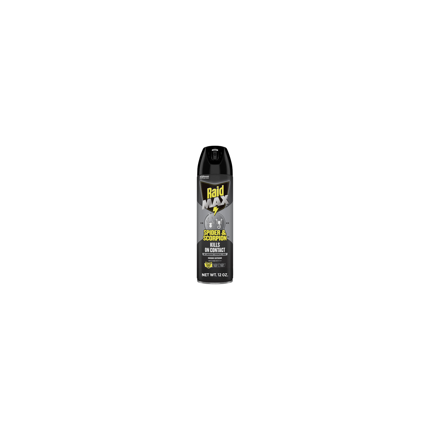 Raid Max Spider & Scorpion Killer, Indoor & Outdoor Anti Spray - 12 Ounce Image 1 of 2