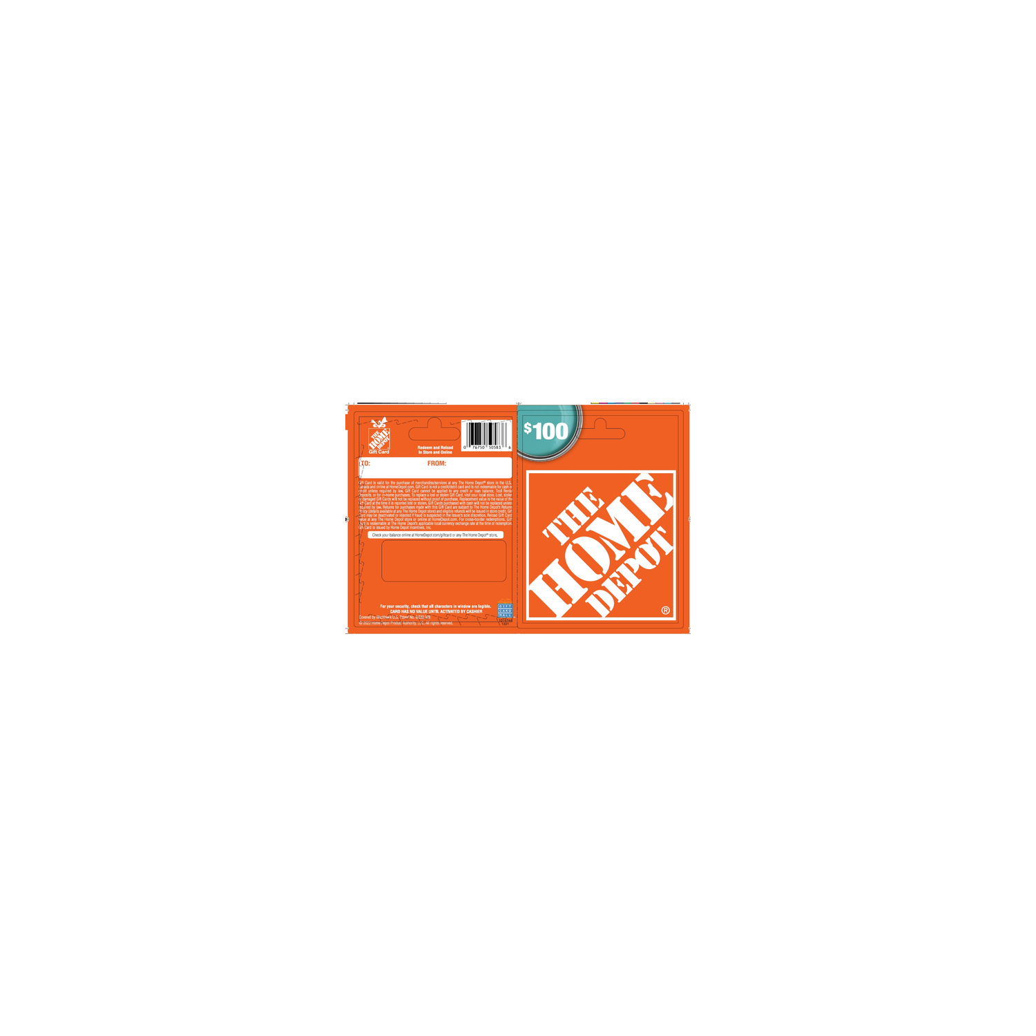 Home Depot $100 - 1 Each