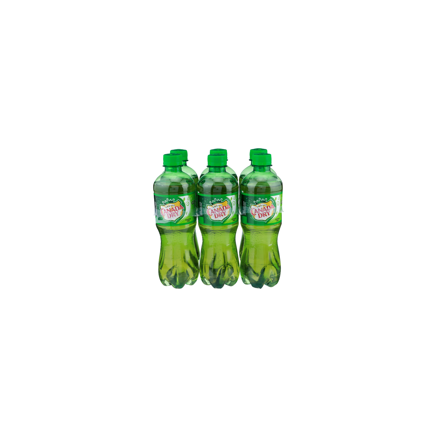Canada Dry Ginger Ale - 16.9 Fluid Ounce - 6 Count Image 1 of 4