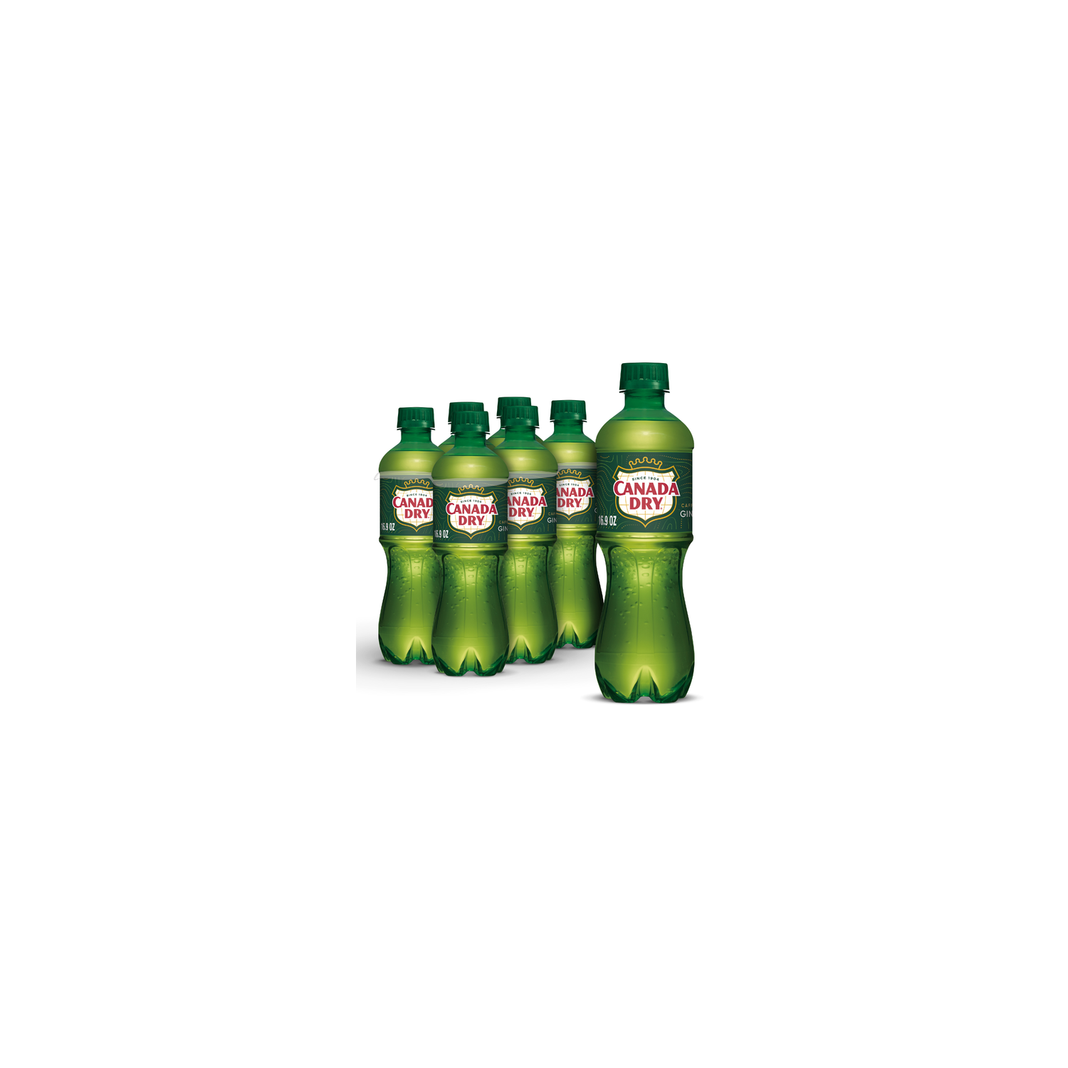 Canada Dry Ginger Ale Soda - 0.083 Liter - 6 Count Image 1 of 3