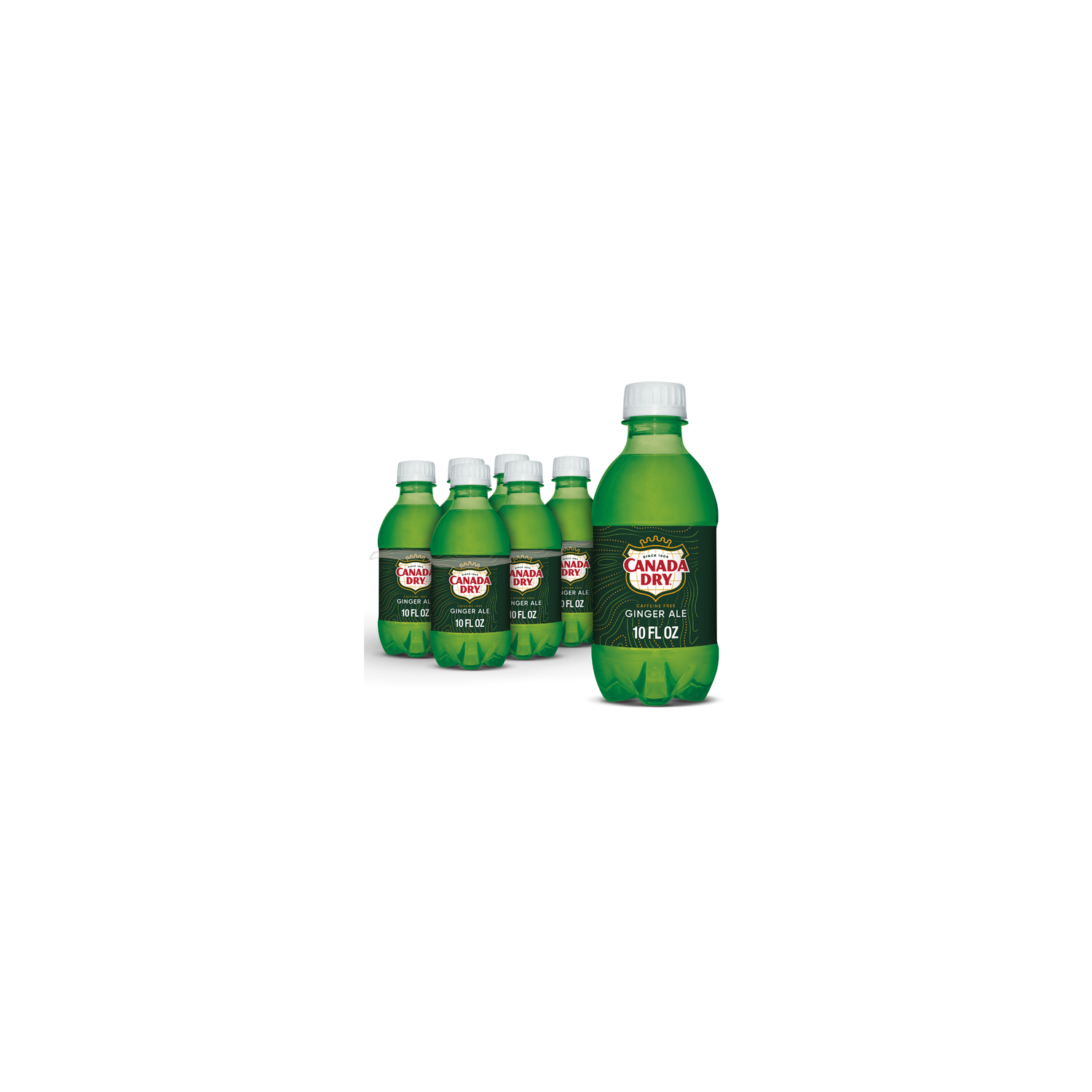 Canada Dry Ginger Ale Soda Plastic - 1.667 Fluid Ounce - 6 Count Image 1 of 3