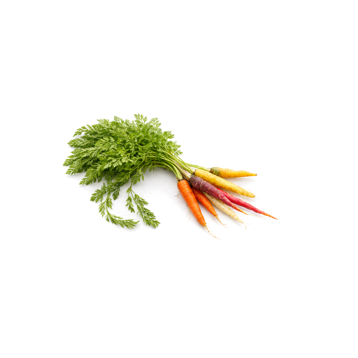  Organic Rainbow Carrot - 1 Each