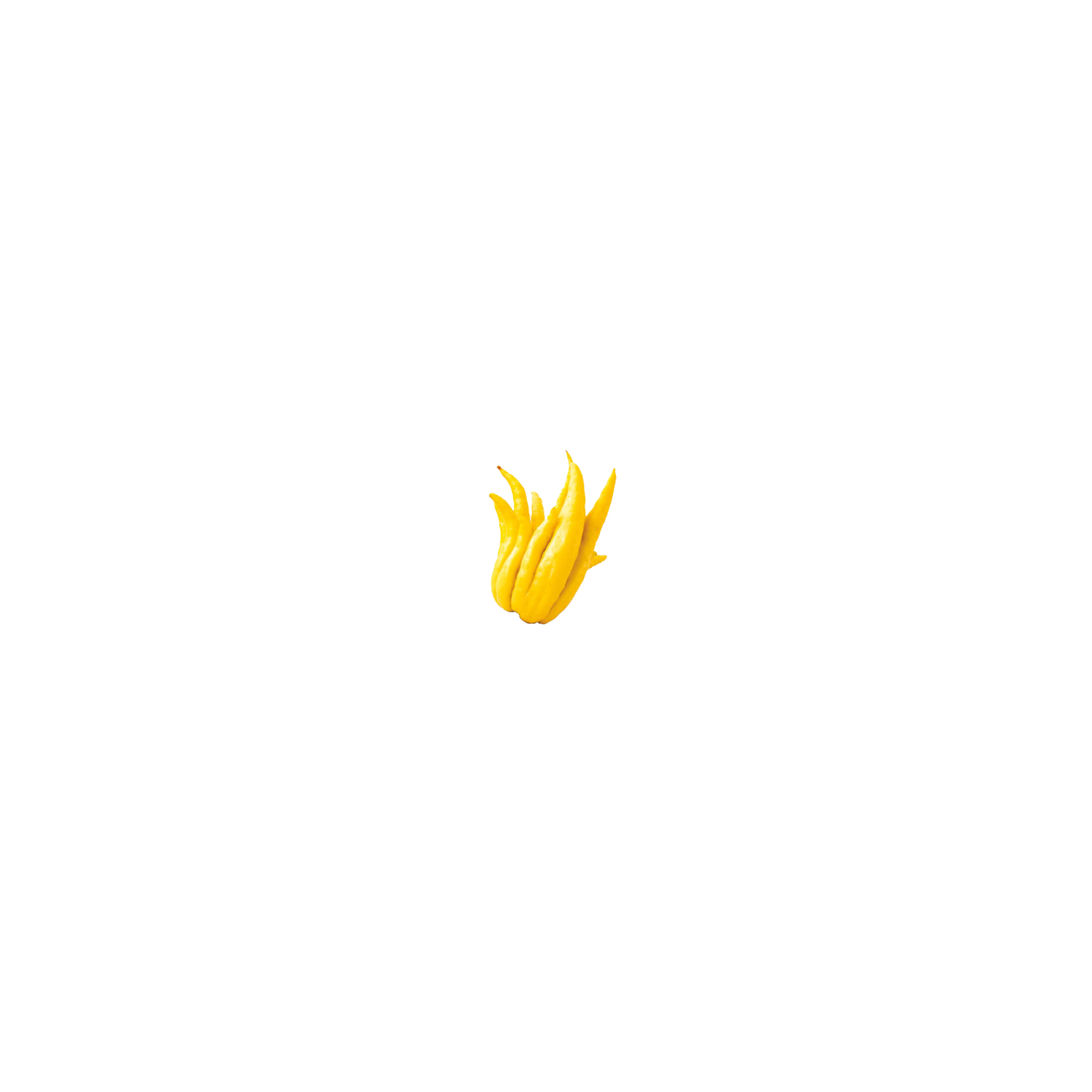 Buddha's Hand - 1 Each