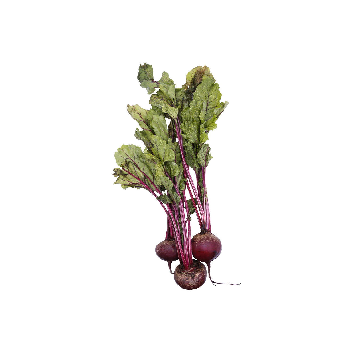 Beets - 1 Each Image 1 of 2