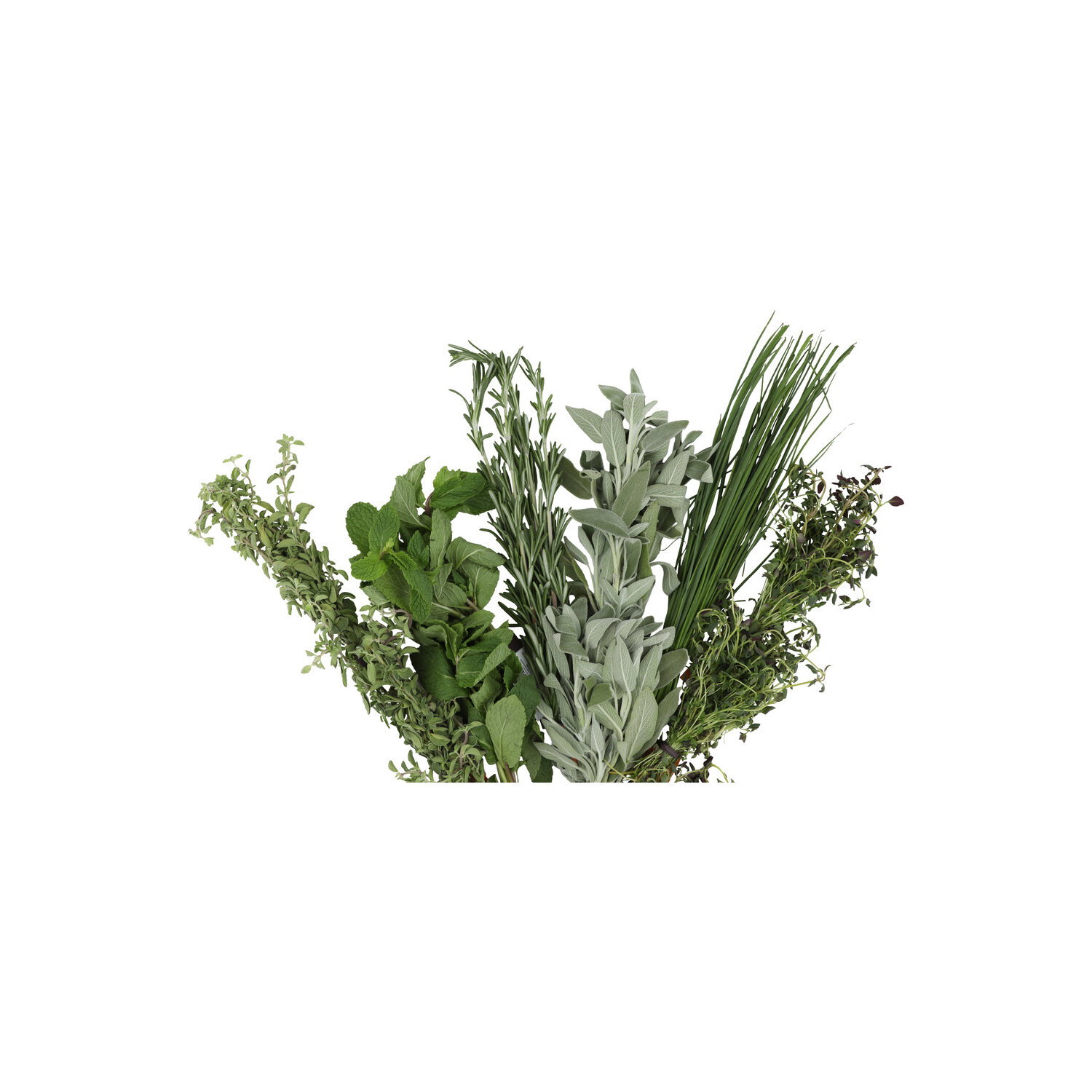 Herbs - 1 Each Image 1 of 2