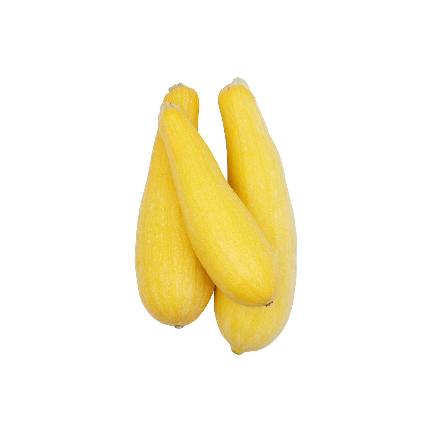 Local Grown Yellow Squash - 1 Pound Image 1 of 2
