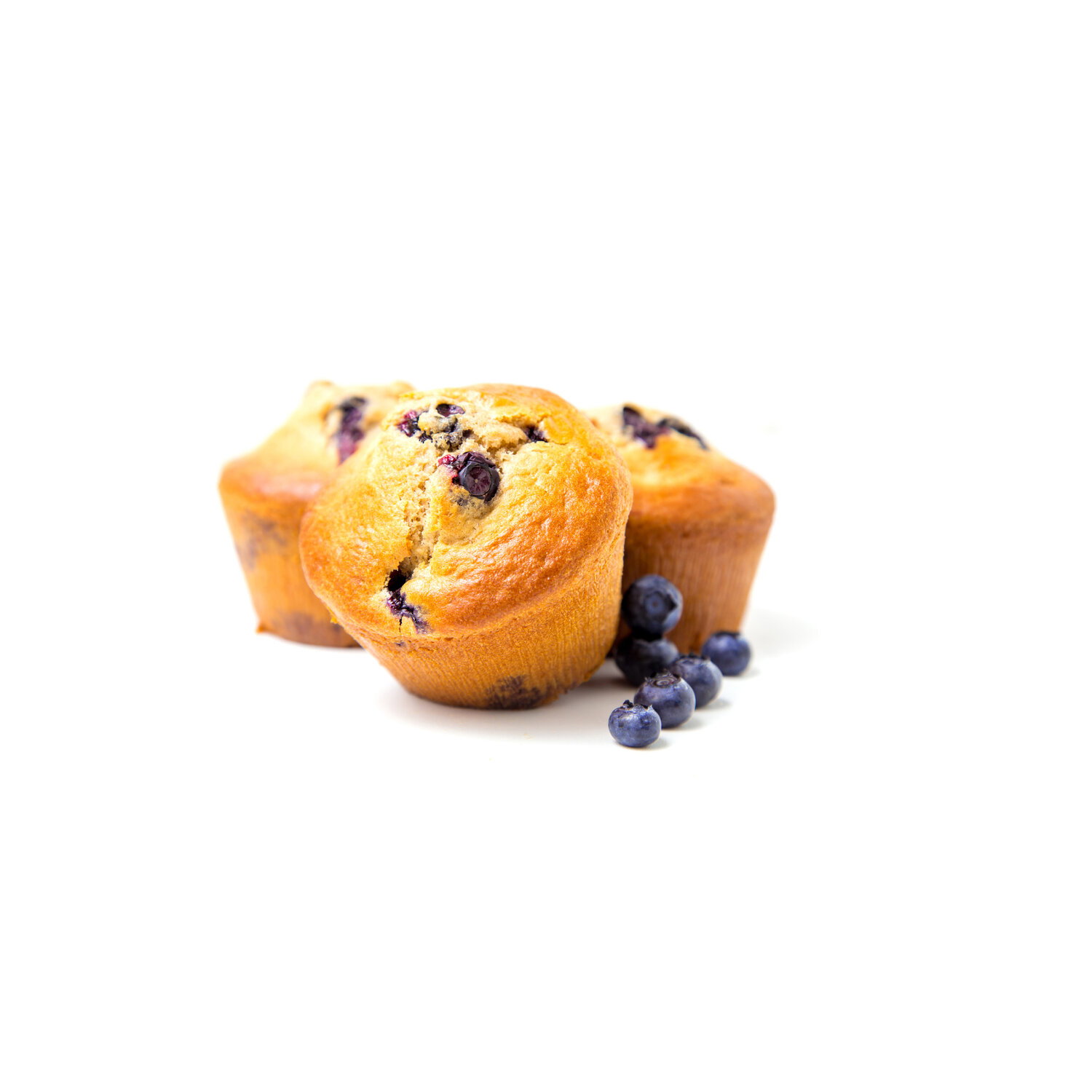 Blueberry Muffin - 1 Each