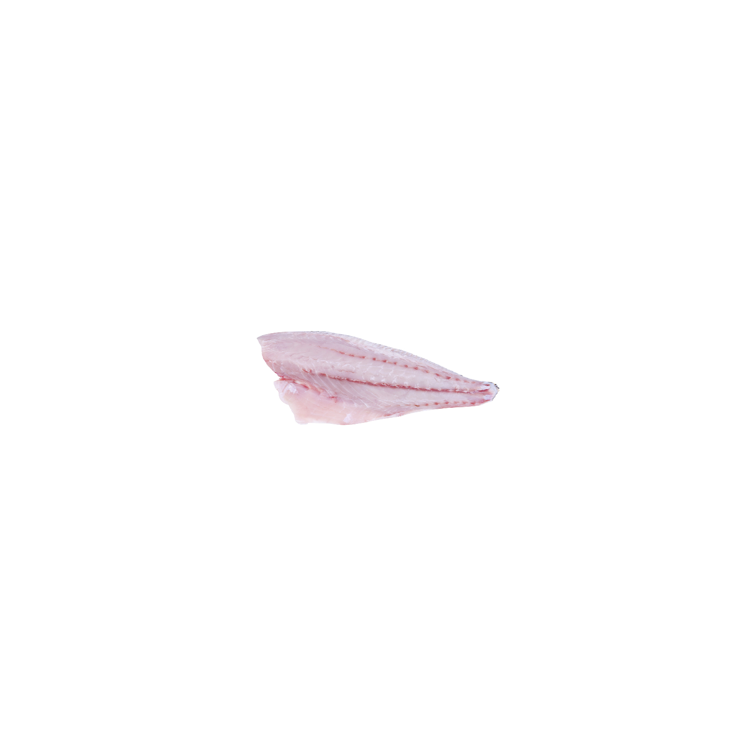 Redfish Fillet - Avg 0.86 Lb