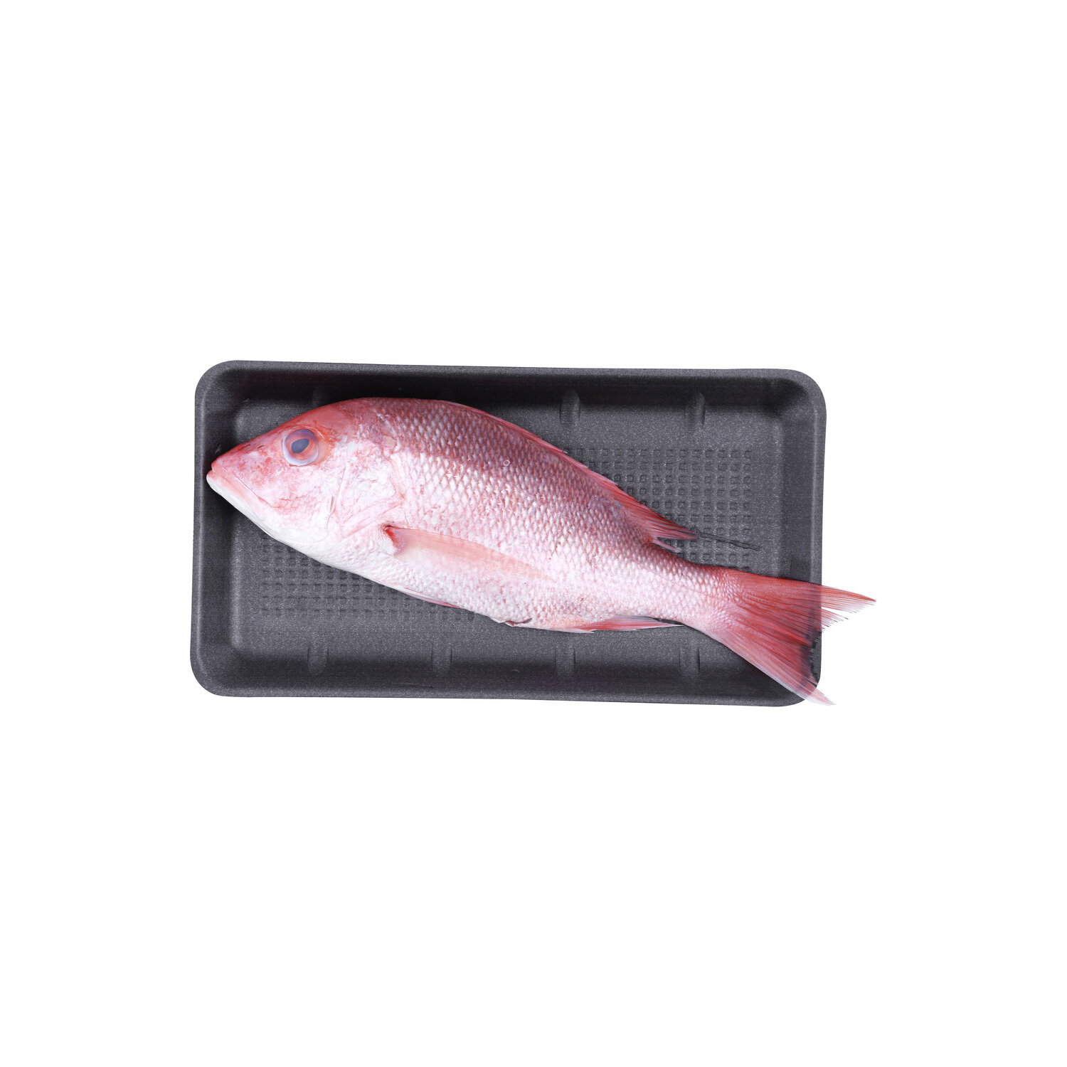 Whole Red Snapper - Avg 1.80 Lbs Image 1 of 2