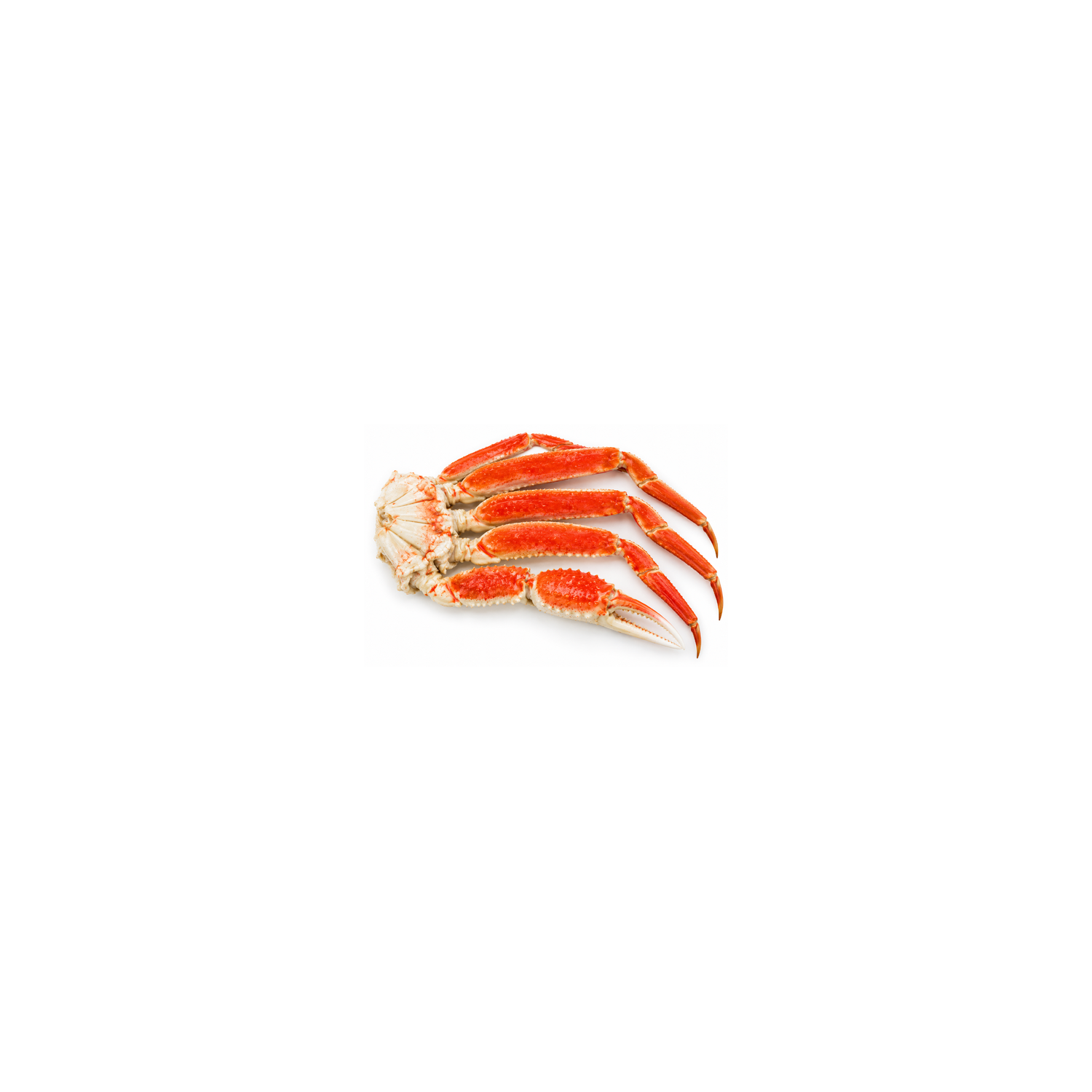 Snow Crab Clusters - Avg 0.74 Lb
