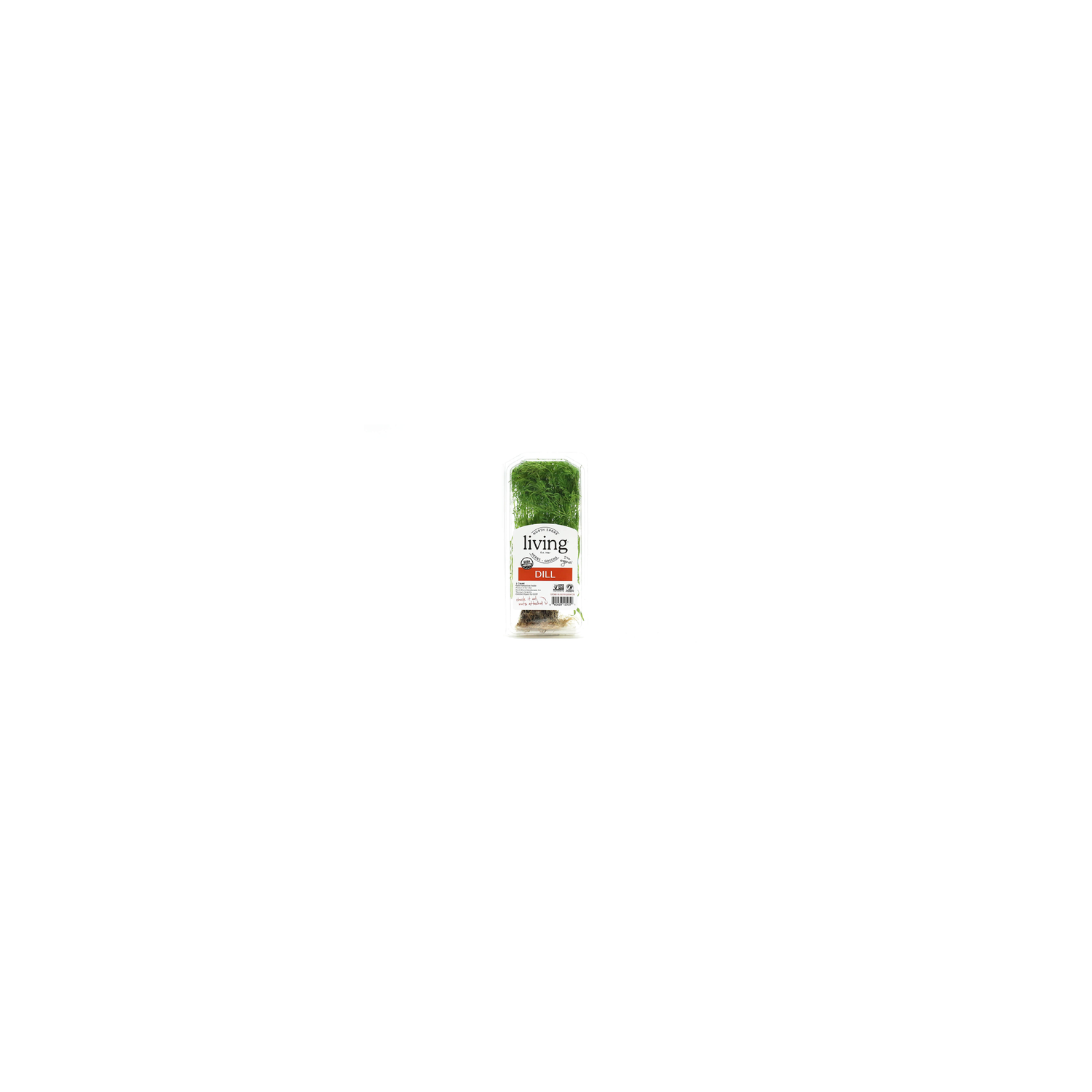 North Shore Living Herbs & Greens Organic Dill - 1 Count