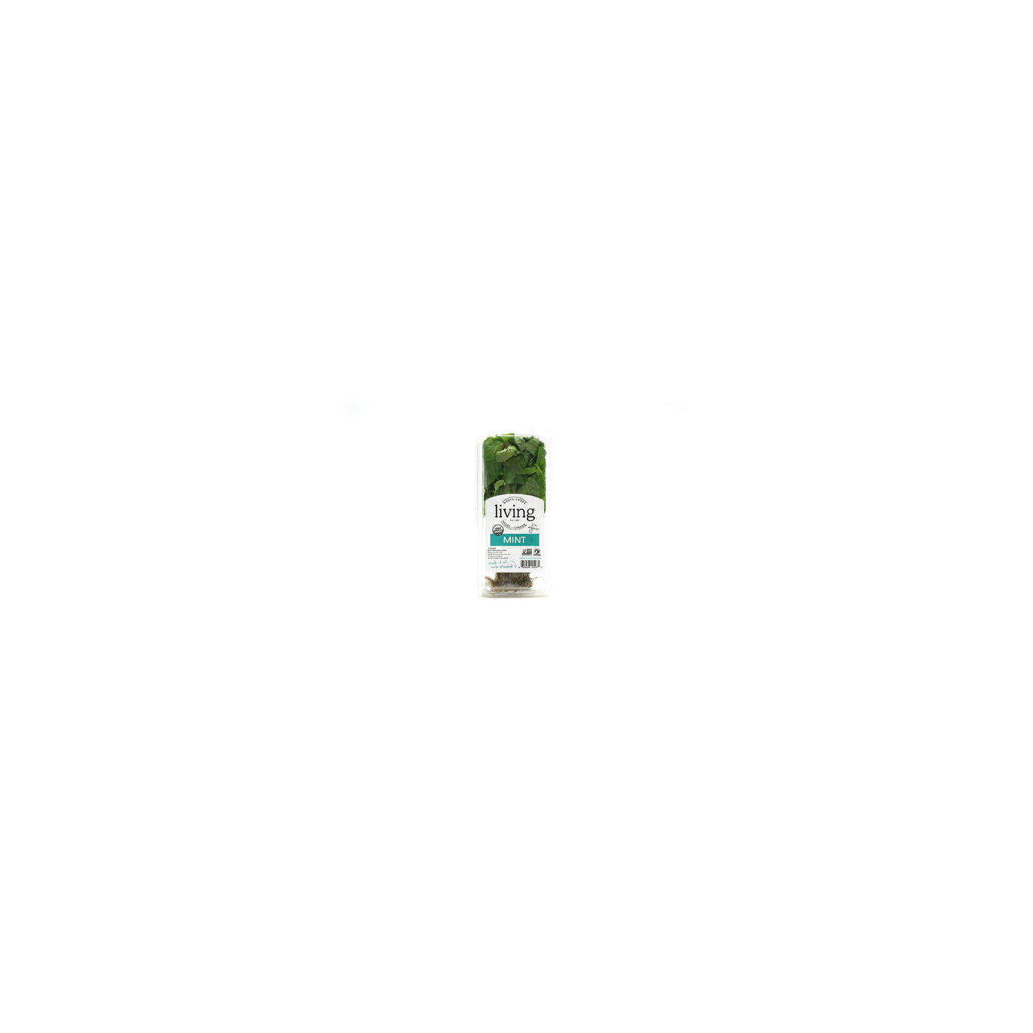 North Shore Living Herbs & Greens Organic Mint - 1 Count