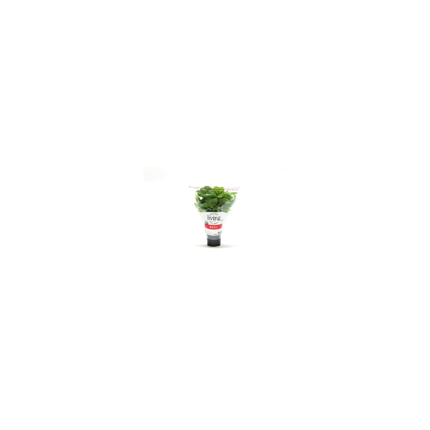 North Shore Living Herbs & Greens Organic Potted Basil - 1 Count