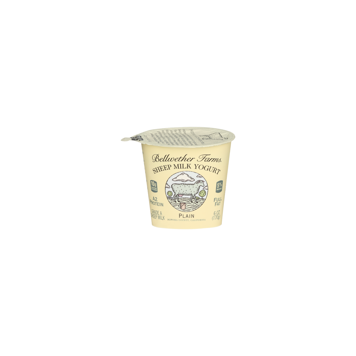 Bellwether Farms Plain Sheep Milk Yogurt - 6 Ounce Image 1 of 4