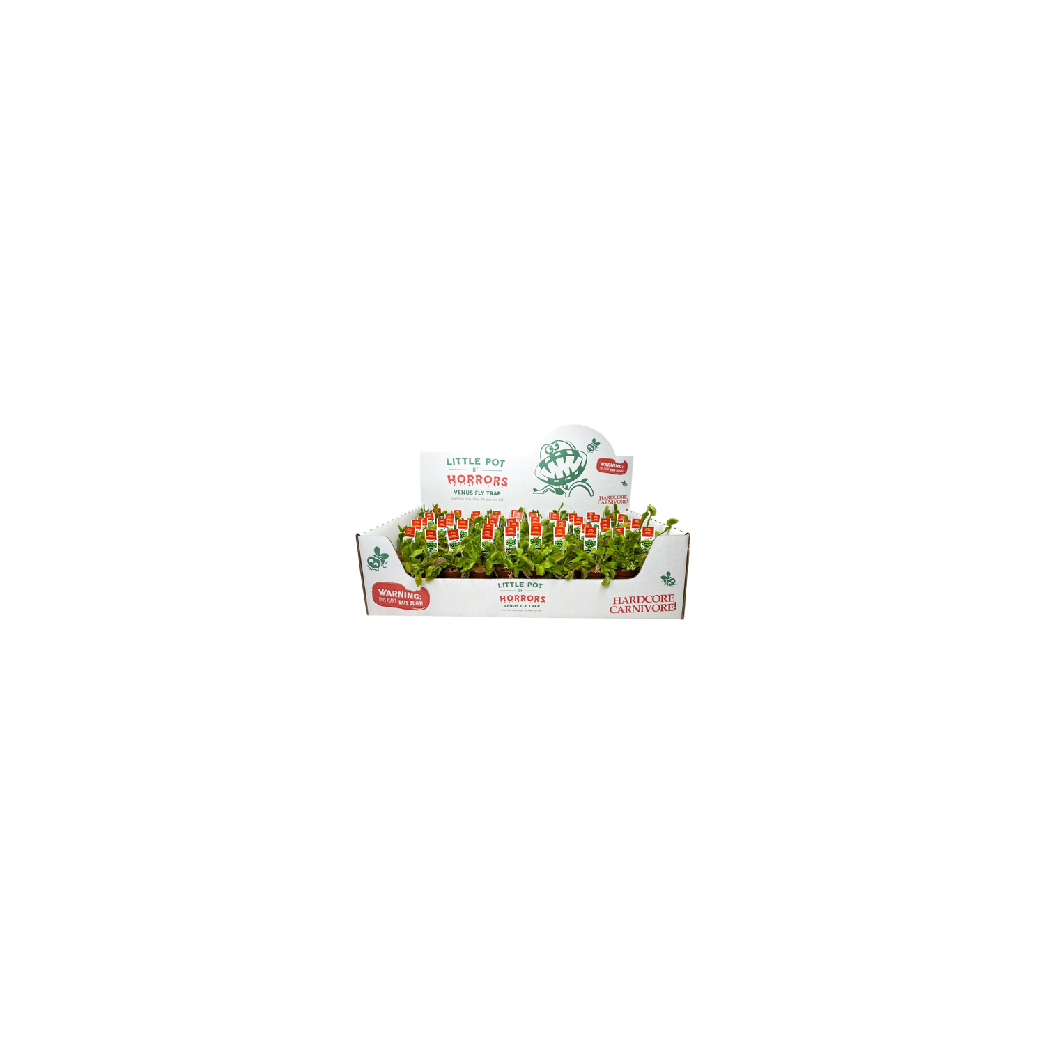 Venus Fly Traps - 1 Each