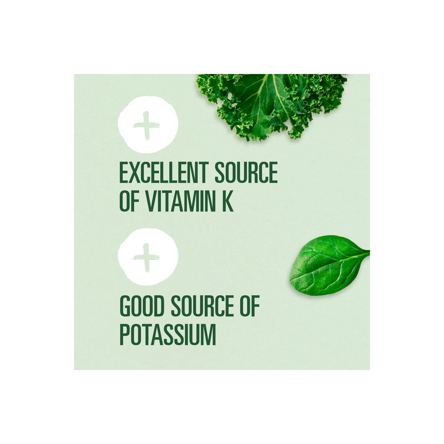 Evolution Fresh Organic Essential Greens Cold-Pressed Juice - 15.2 Fluid Ounce Image 1 of 2