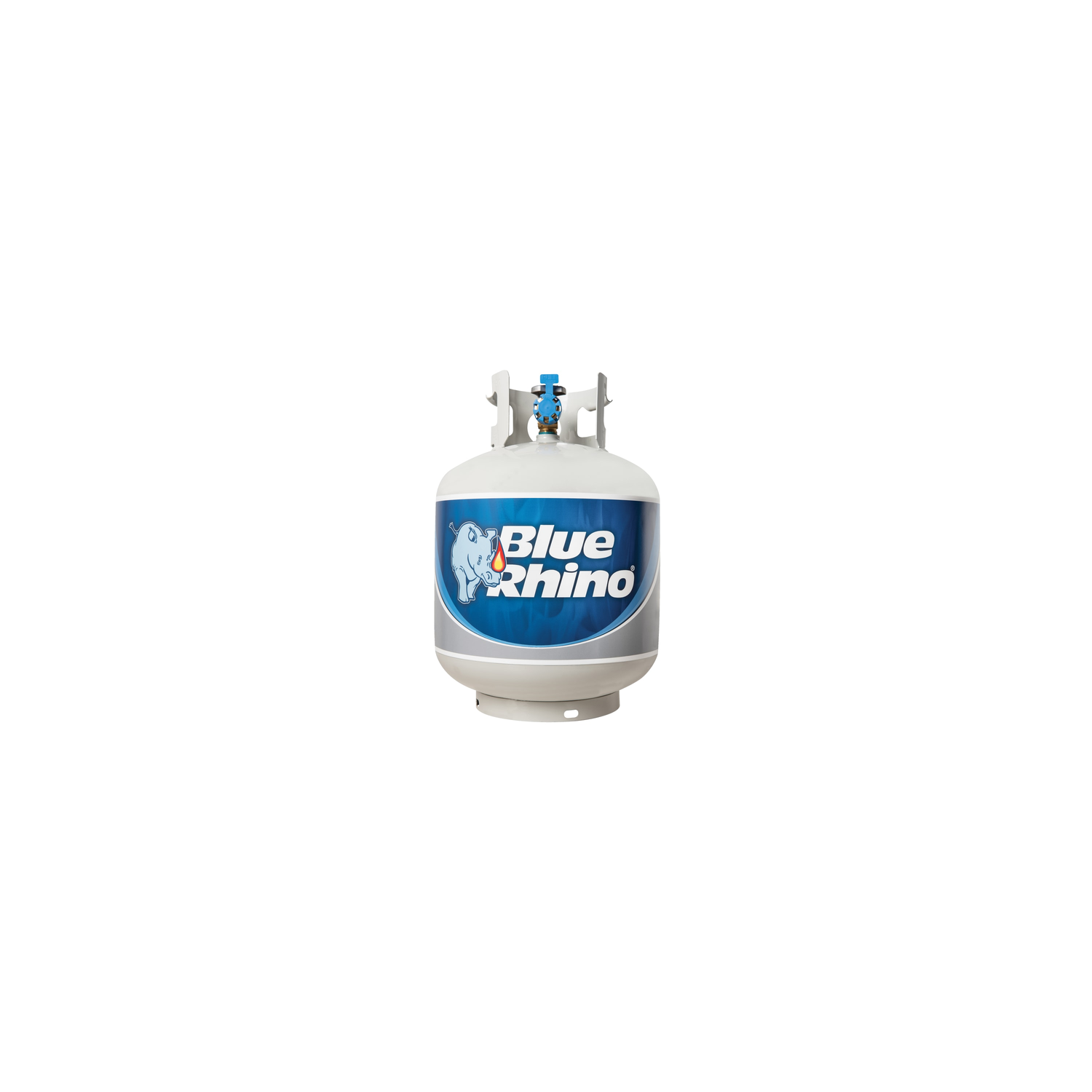 Blue Rhino Propane Purchase - 1 Each