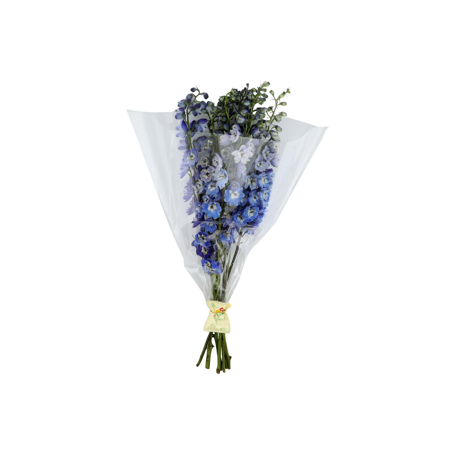  Delphinium - 1 Each Image 1 of 2