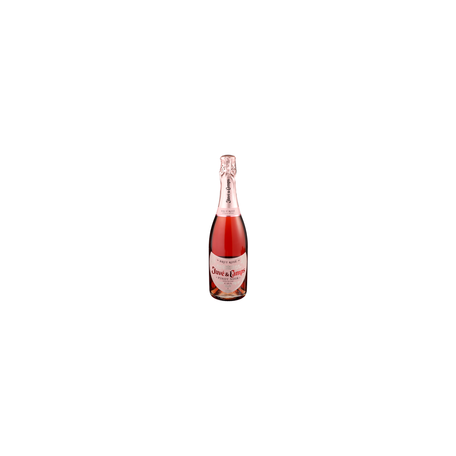 JUVE & CAMPS Pinot Noir - 750 ml Image 1 of 2