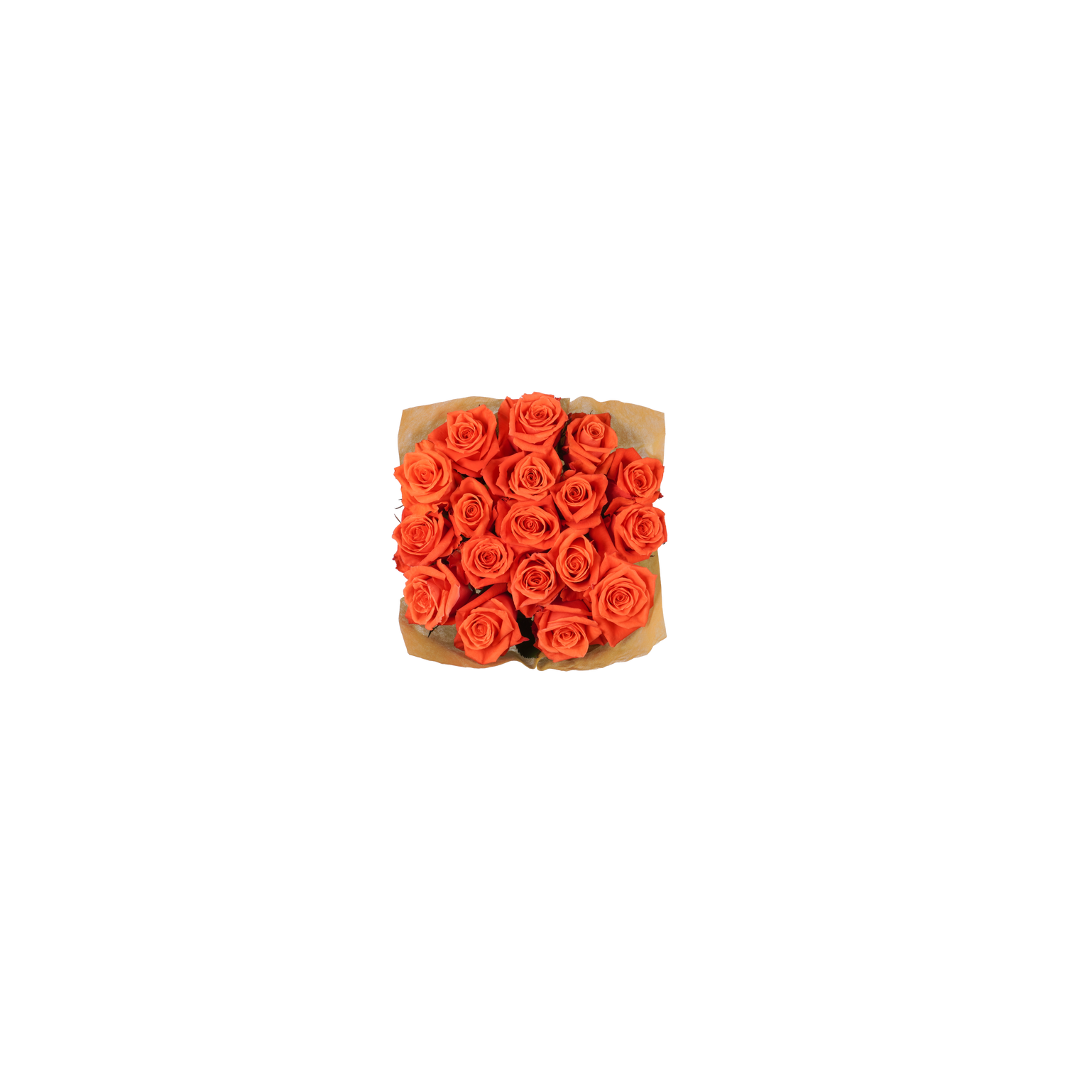 18 Stem Orange Roses - 1 Each