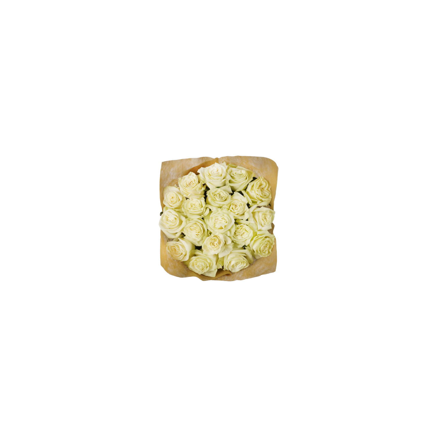 18 Stem White Roses - 1 Each
