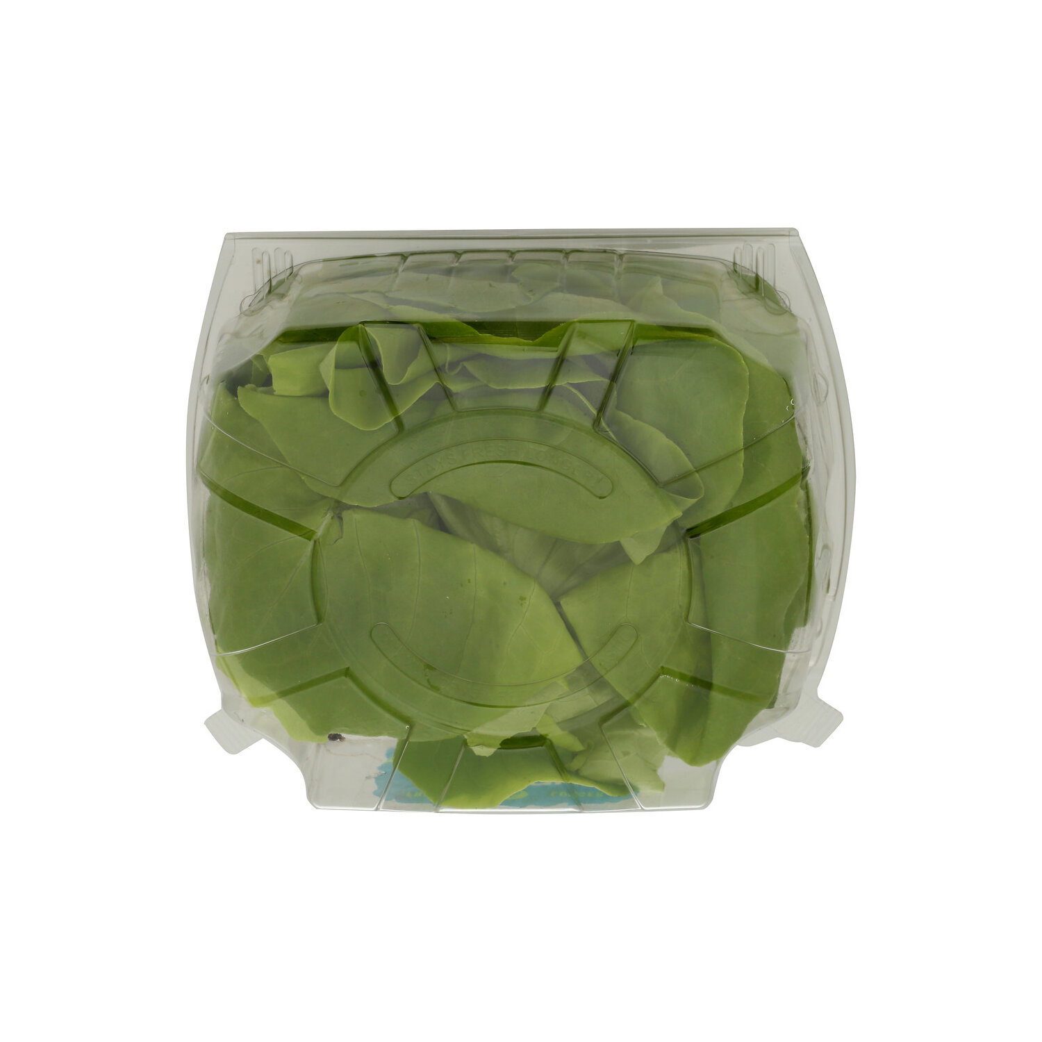 Local Bounti Butter Lettuce Clamshell - 1 Count Image 1 of 2