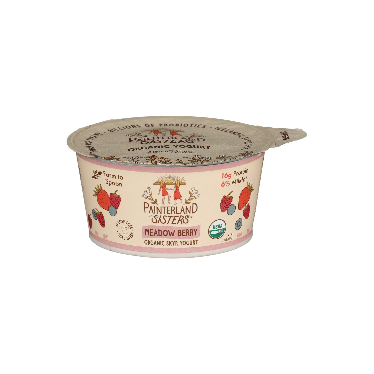 Painterland Sisters Meadow Berry Creamy Organic Icelandic Style Skyr Yogurt - 5.3 Ounce Image 1 of 4