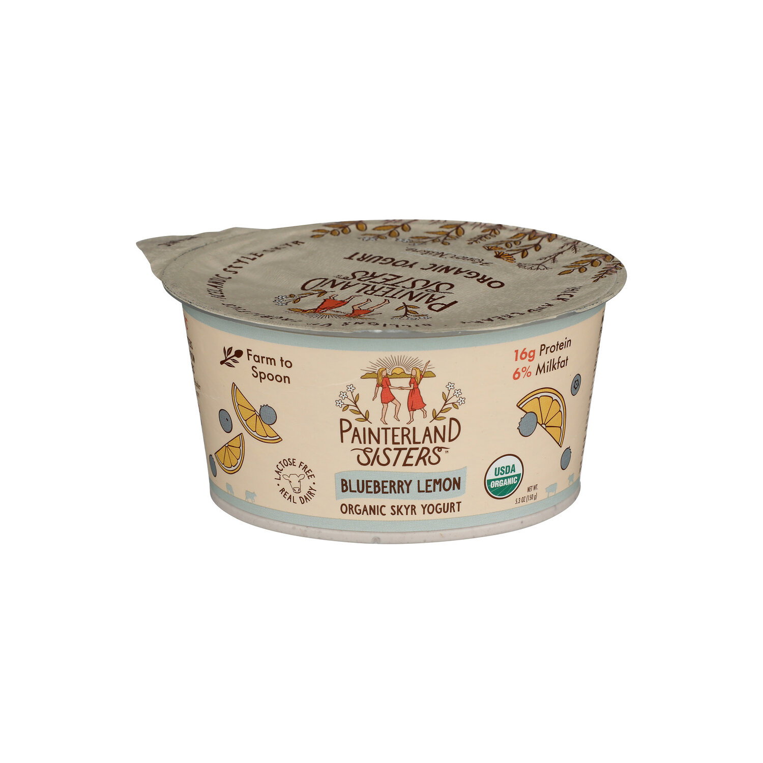 Painterland Sisters Blueberry Lemon Creamy Organic Icelandic Style Skyr Yogurt - 5.3 Ounce Image 1 of 4