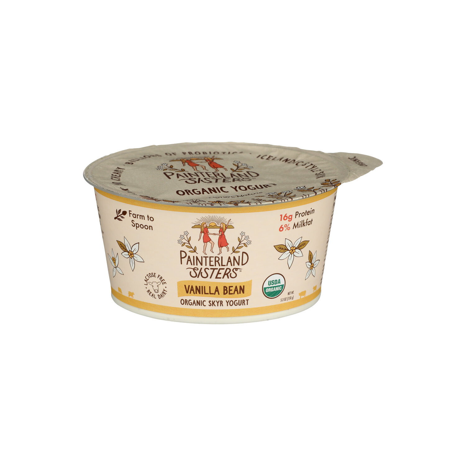 Painterland Sisters Vanilla Bean Creamy Organic Icelandic Style Skyr Yogurt - 5.3 Ounce Image 1 of 4