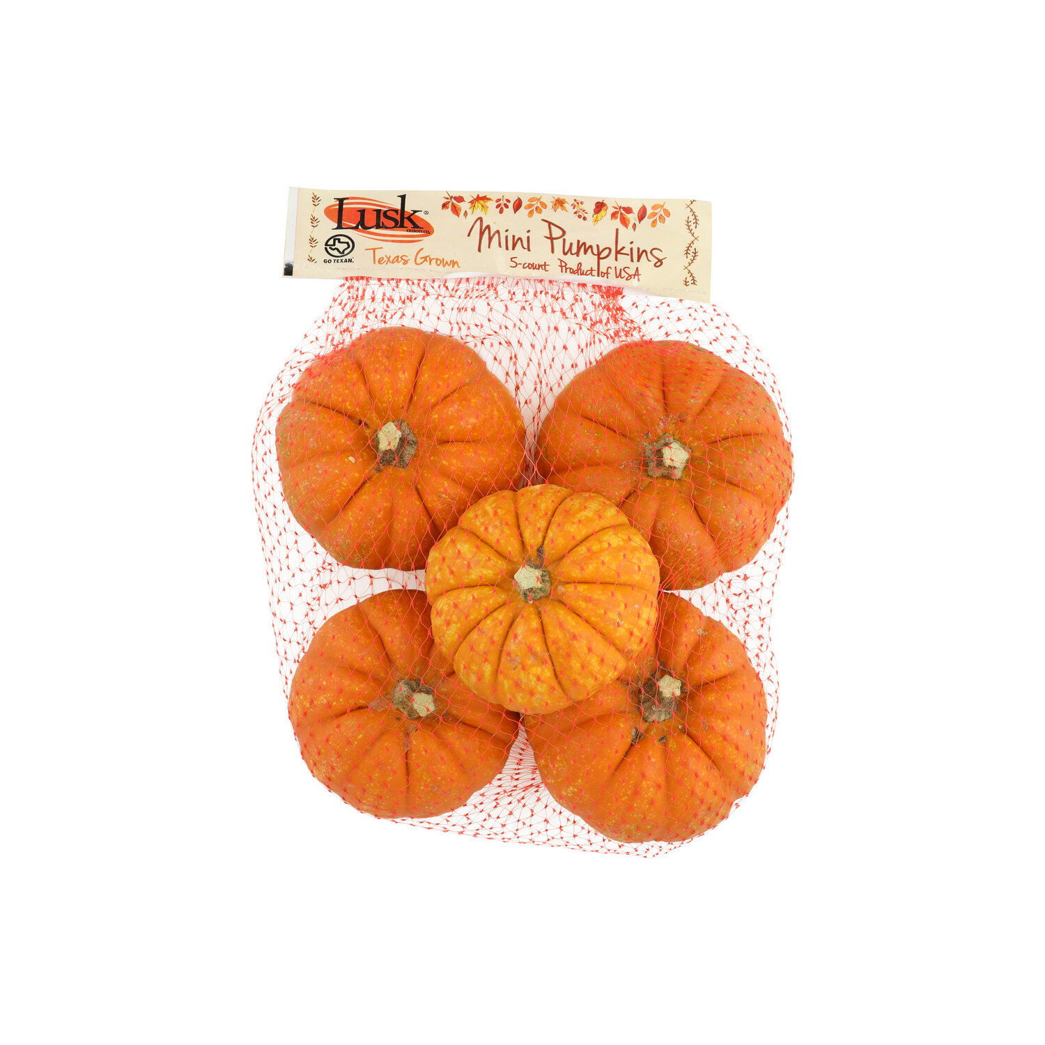 Mini Pumpkins - 5 Count Image 1 of 2