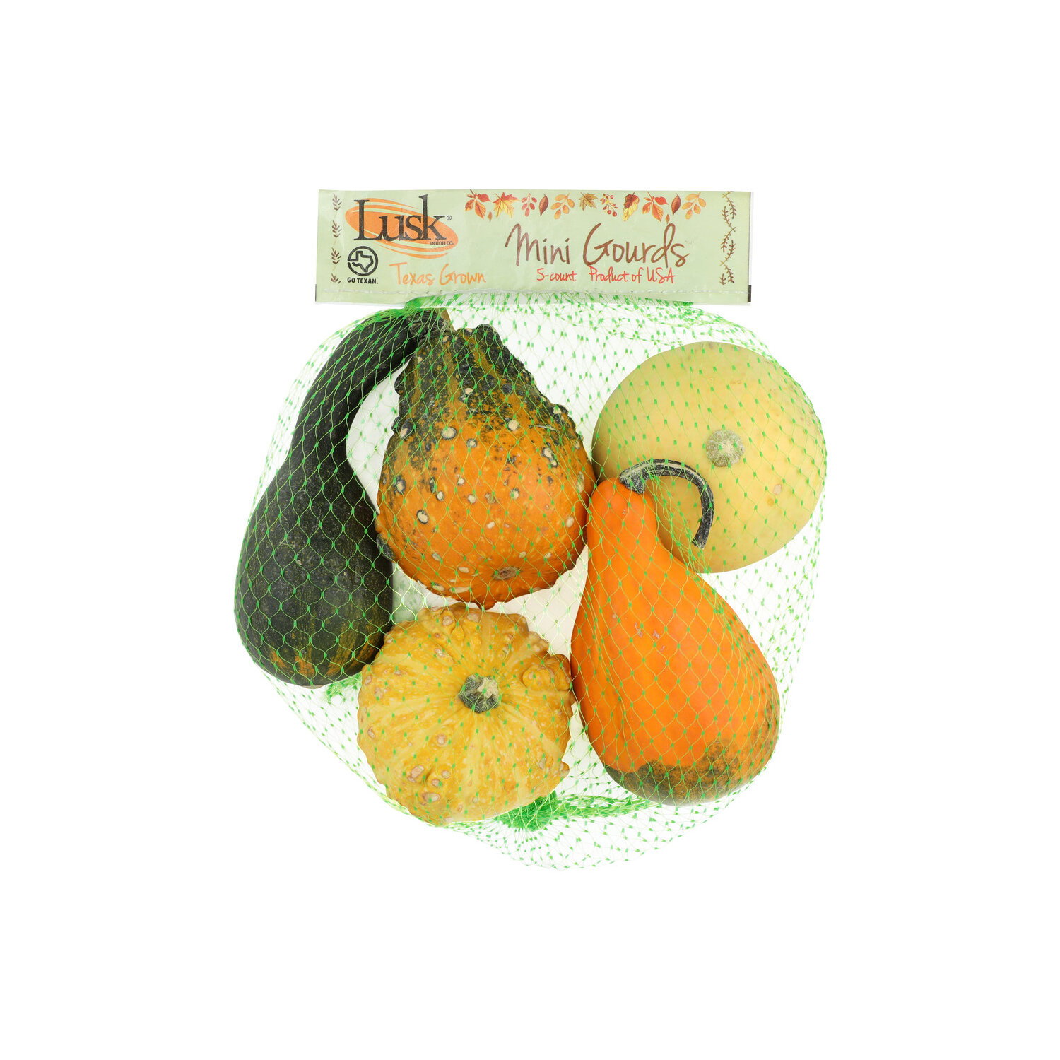 Mini Gourds - 5 Count Image 1 of 2