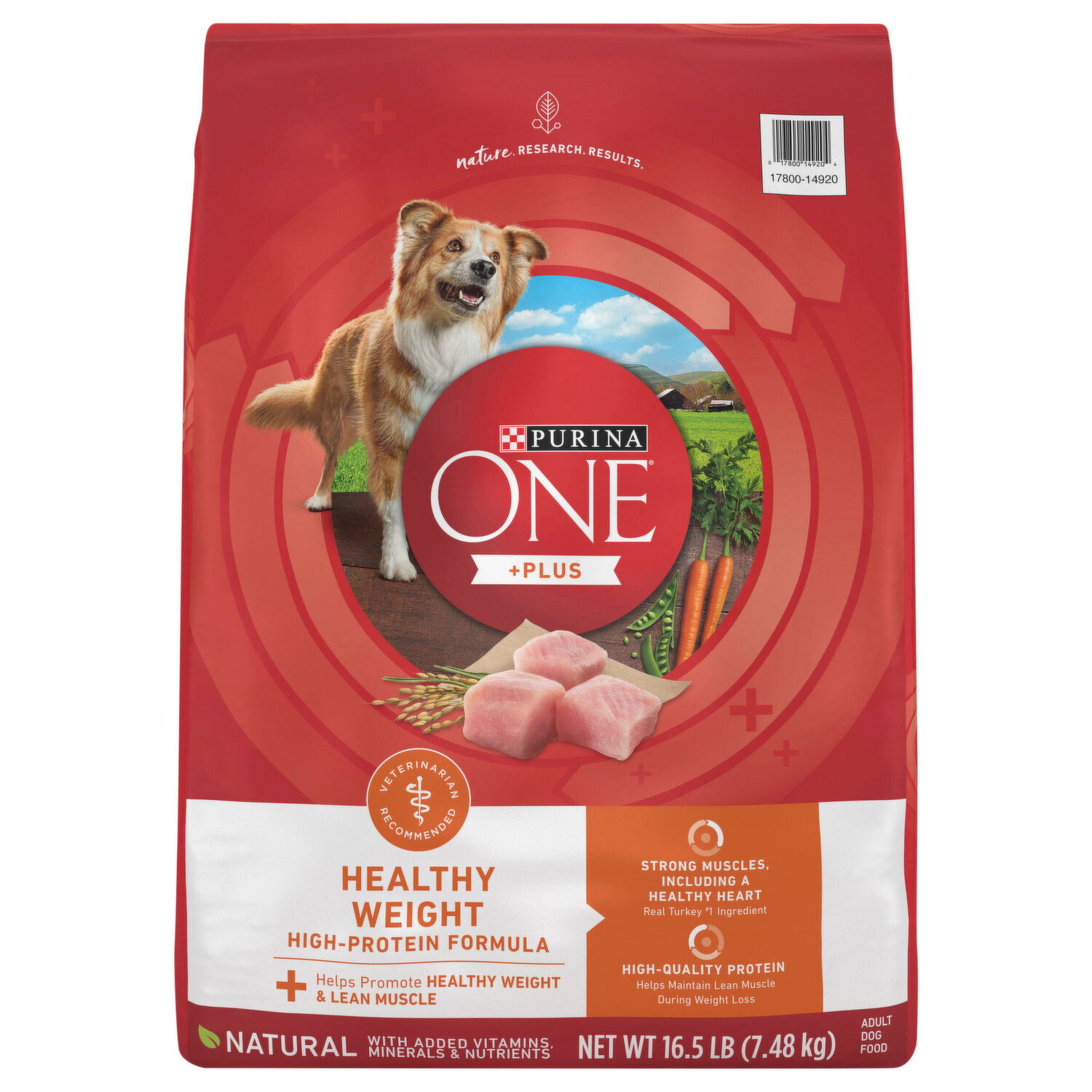 Pearl the Benefits of Purina One Smartblend and the 28 Day Challenge