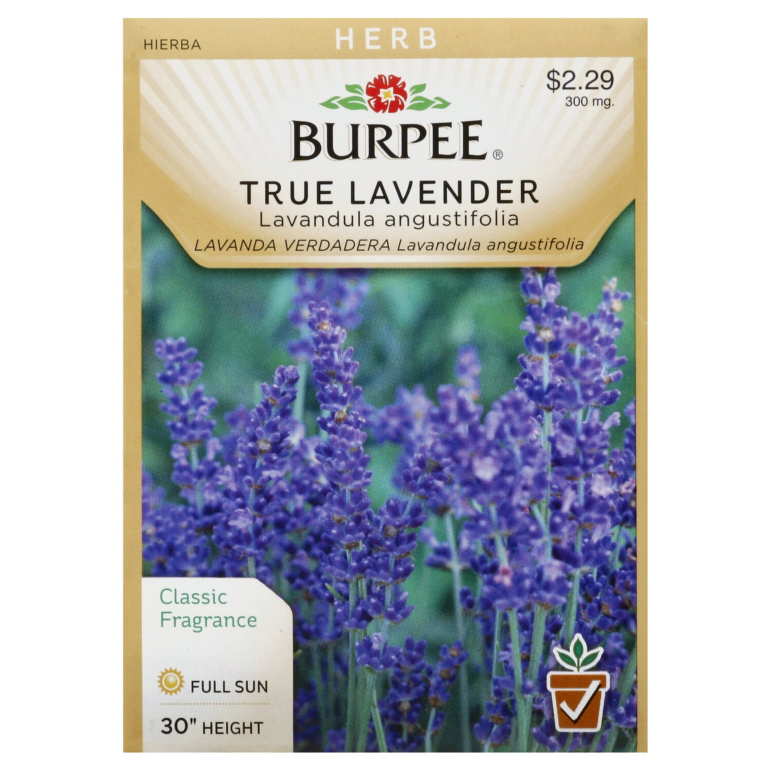 Burpee Seeds, True Lavender - 300 Milligram