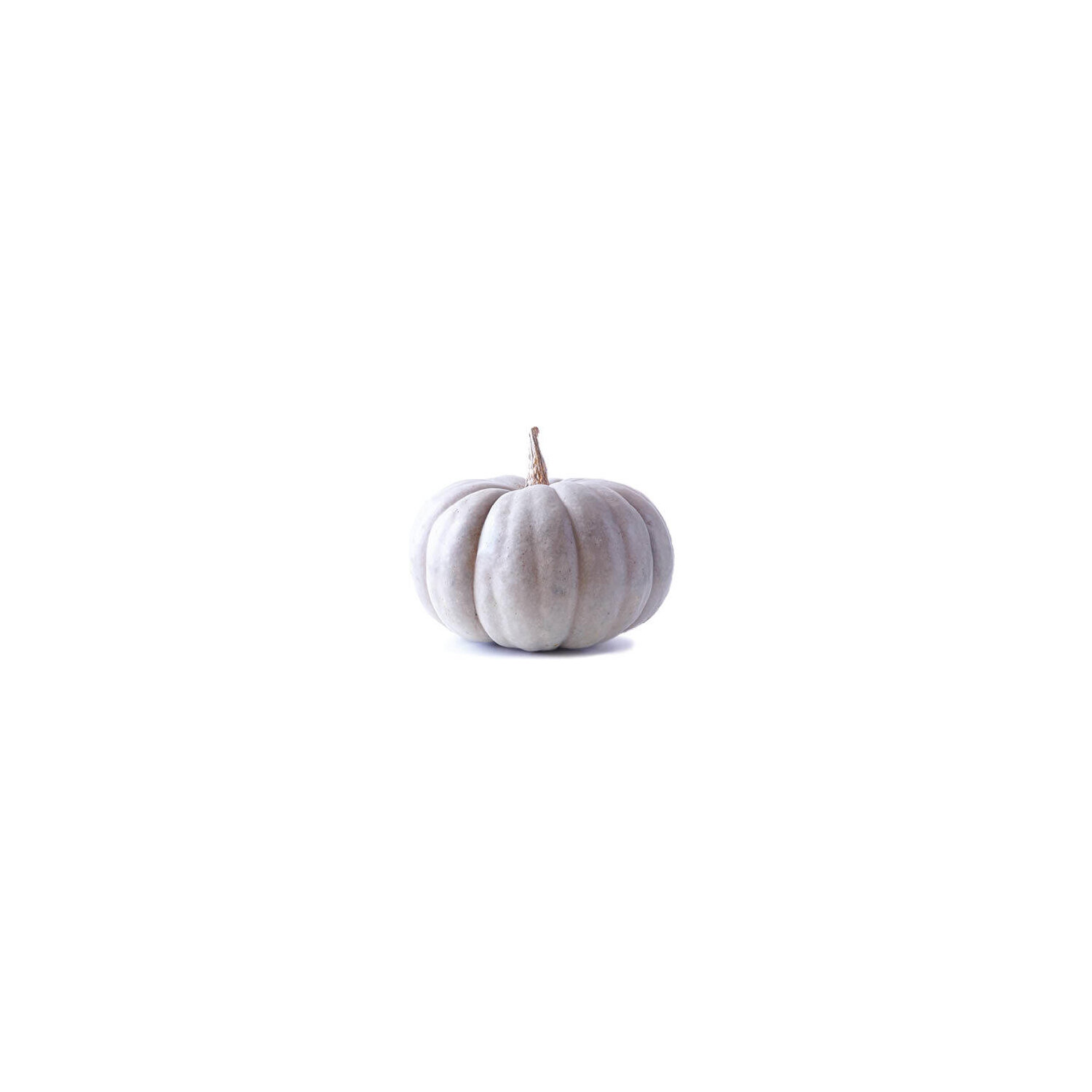 Fresh Australian Blue Pumpkin - 1 Each