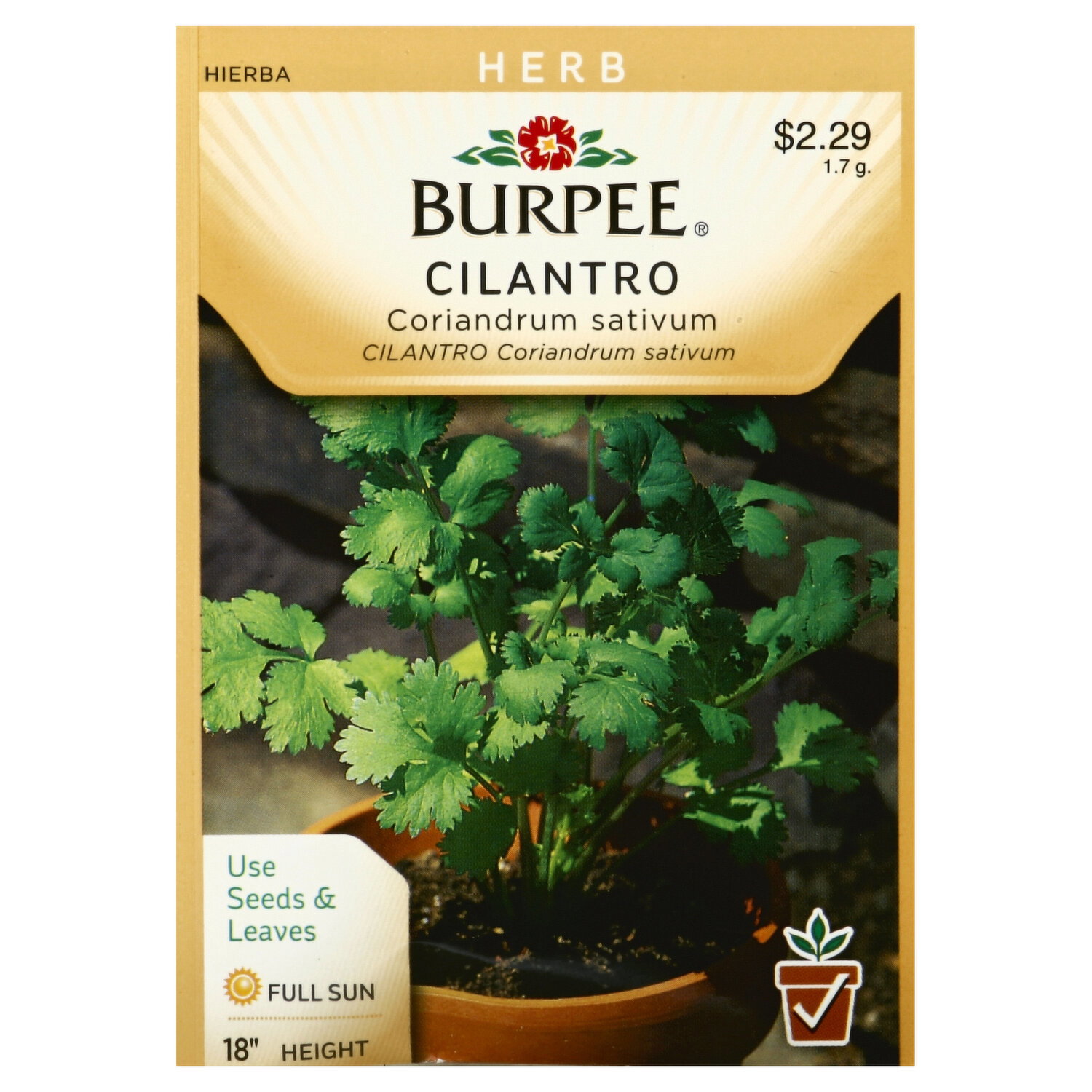 Burpee Seeds, Cilantro - 1.7 Gram